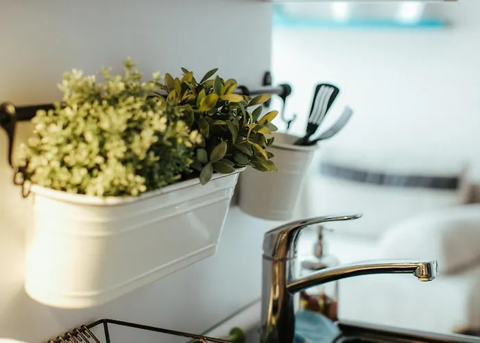 Ramzes Alloggio in famiglia Niechorze