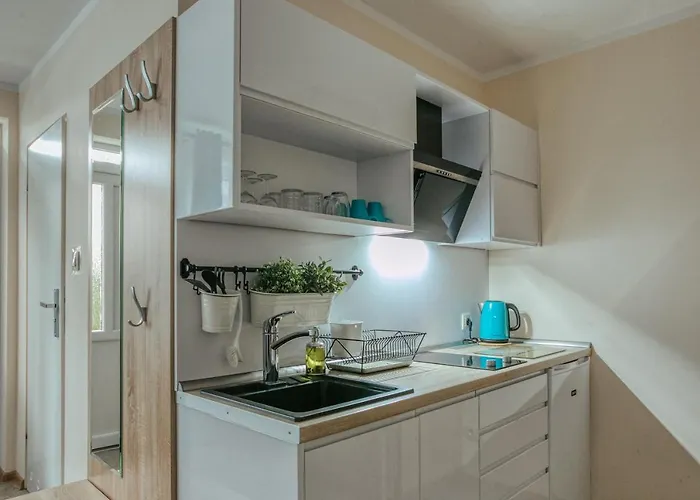 Alloggio in famiglia Ramzes *