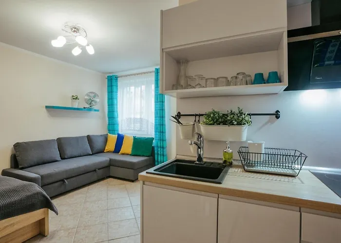 Ramzes Alloggio in famiglia *